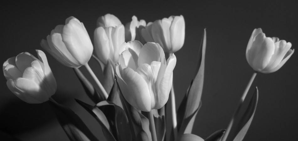 "Here's flowers for you, happy birthday my Olga !!"